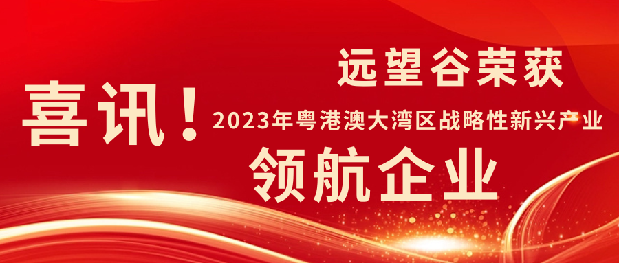 新年迎喜讯 | 远望谷荣获2023年粤港澳大湾区战略性新兴产业“领航企业”！